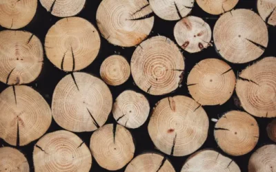 Why Is Timber So Expensive Now?
