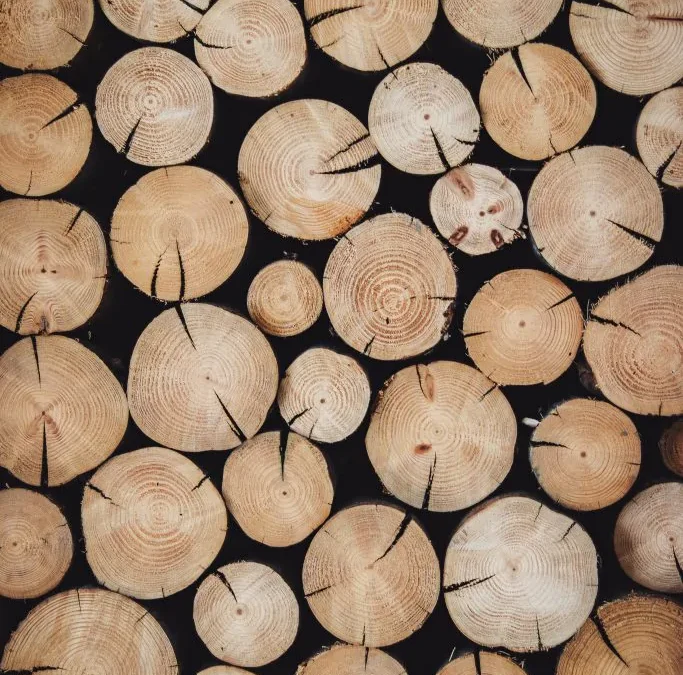 Why Is Timber So Expensive Now?