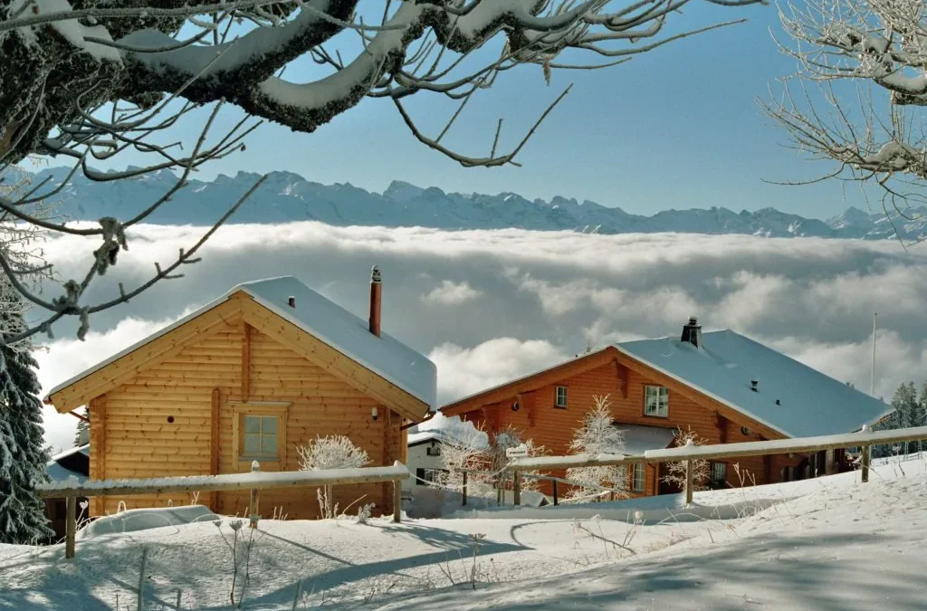 Can I Live In A Log Cabin All Year Round?