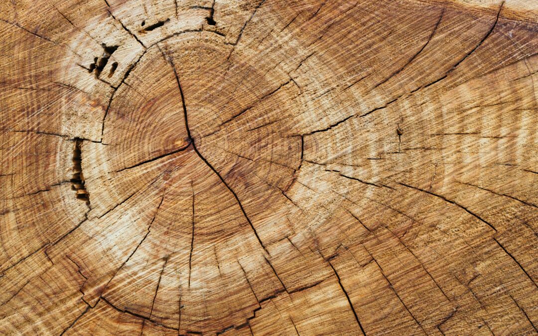 Why should I buy a timber house if the cost is the same as bricks and mortar?