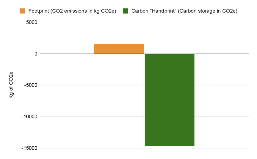 Chart showing carbon footprint vs carbon stored in a typical detached home